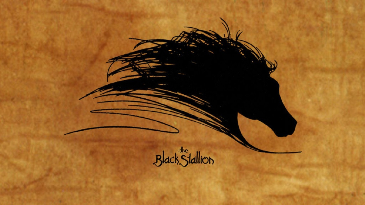 The Black Stallion Collection background